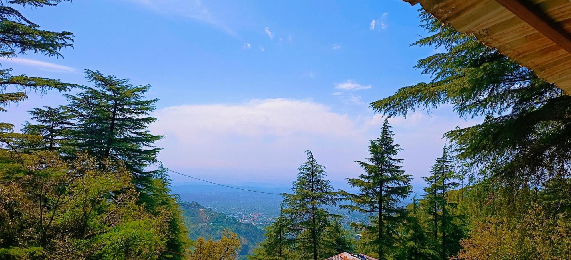 Mcleodganj Bed & Breakfast แมคลอยด์กันจ์ ภายนอก รูปภาพ