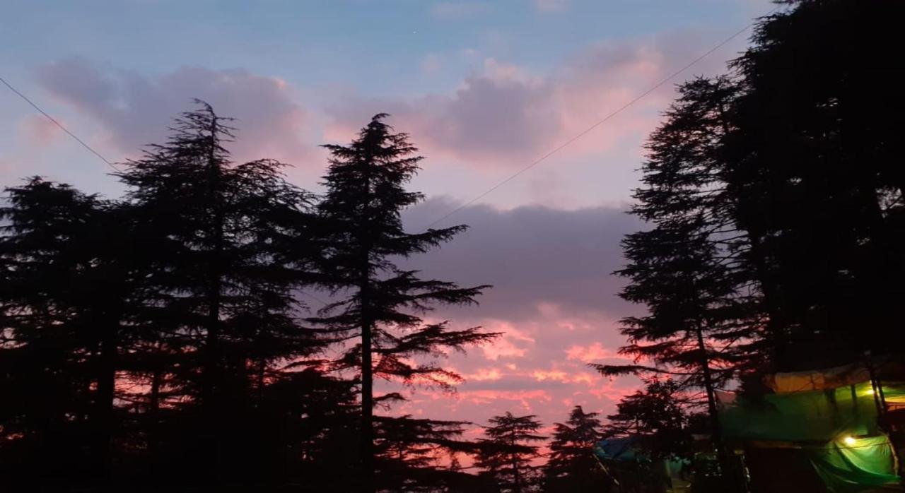 Mcleodganj Bed & Breakfast แมคลอยด์กันจ์ ภายนอก รูปภาพ